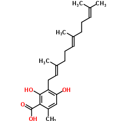 灰叶酸