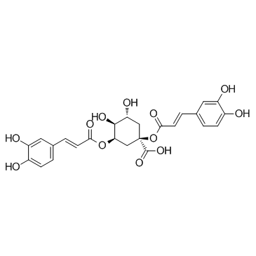 1,5-二咖啡酰奎宁酸； 洋蓟素