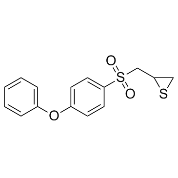 SB-3CT