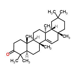 蒲公英赛酮