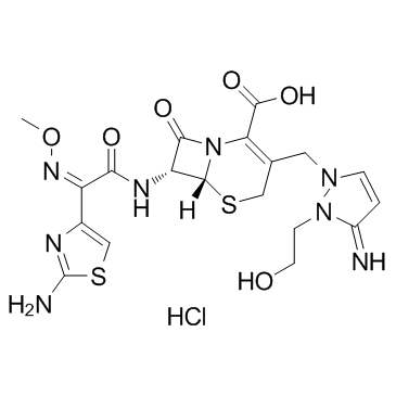 盐酸头孢噻肟