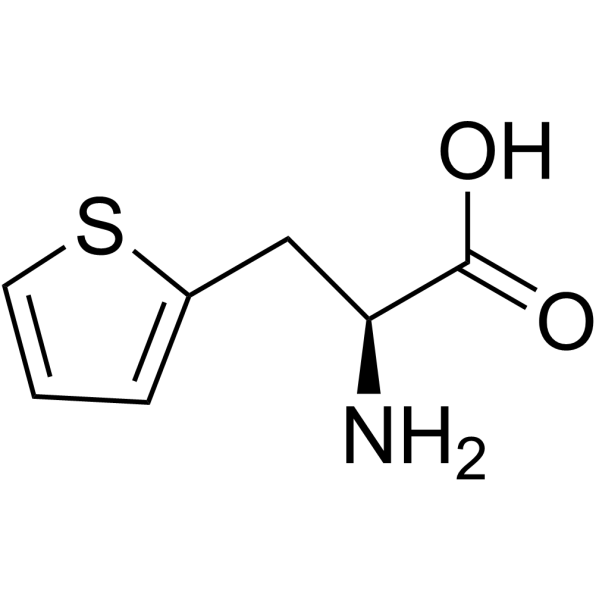 3-(2-噻吩基)-L-丙氨酸