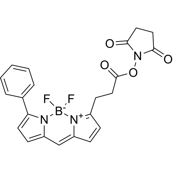 BDP R6G NHS ester