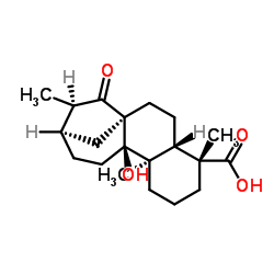 等效-9-羟基-15-氧代-19-异贝壳杉烷酸