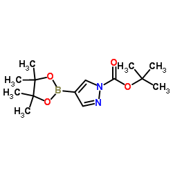 1-Boc-吡唑-4-硼酸频哪醇酯