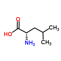 聚-L-亮氨酸