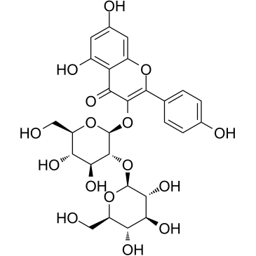 山奈酚3-O-beta-D-槐糖苷