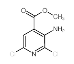 2,6-二氯-3-氨基异烟酸乙酯