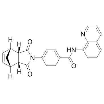 IWR-1-endo