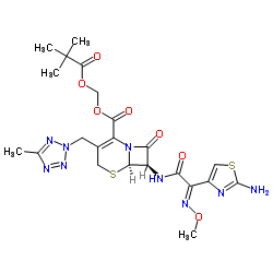 头孢特仑新戊酯