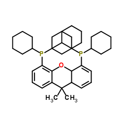 4,5-双(二环己基膦)-二苯并吡喃衍生物