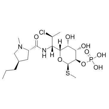 克林霉素磷酸酯