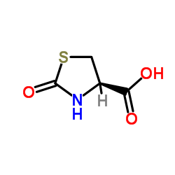 L-2-噻唑林二酮-4-甲酸