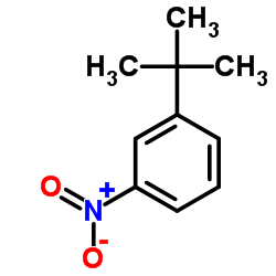 间叔丁基硝基苯