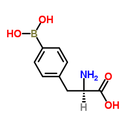 4-硼-D-苯丙氨酸