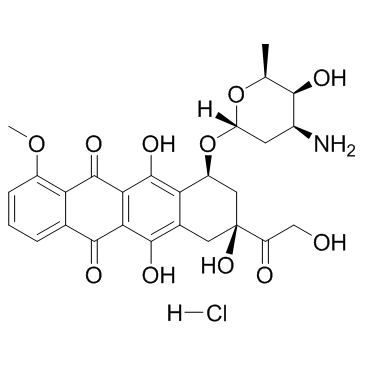 盐酸阿霉素