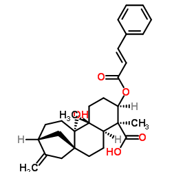 3ALPHA-肉桂酰氧基-9BETA-羟基-等效-贝壳杉-16-烯-19-酸