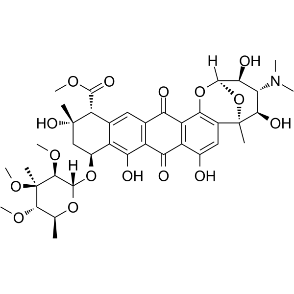 诺拉霉素