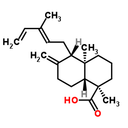 4-表可木酸