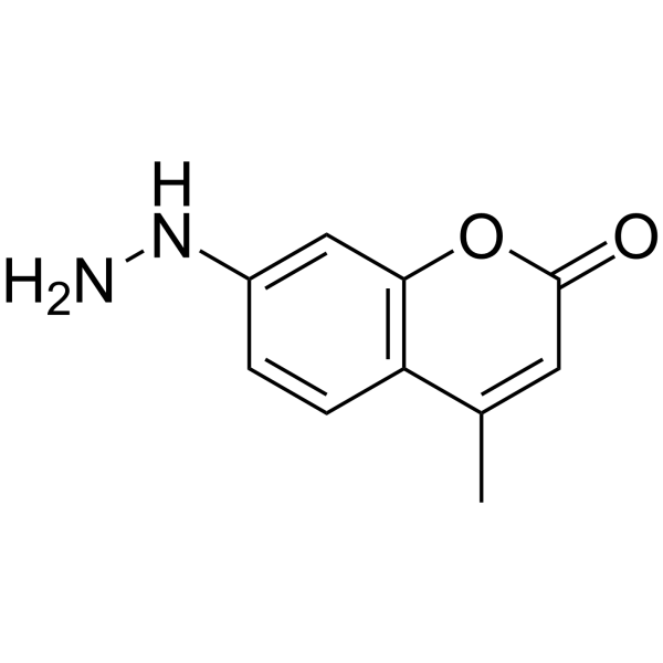 Coumarin hydrazine