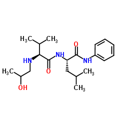 N-((RS)-2-Hydroxy-propyl)-Val-Leu-anilide