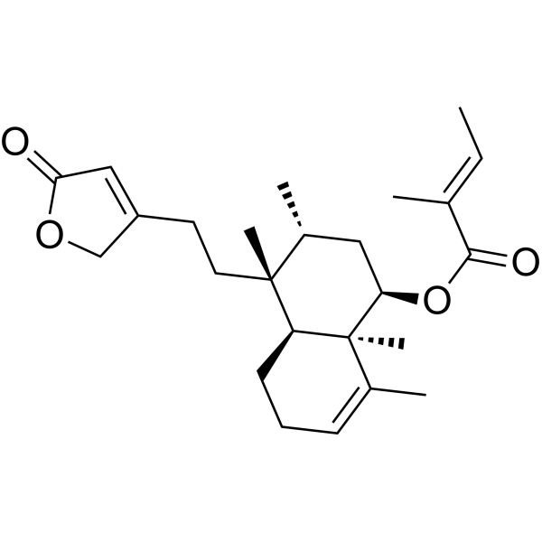 Solidagolactone III