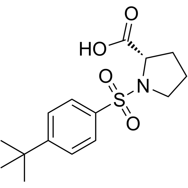 N-(4-叔丁基苯基磺酰基)-l-脯氨酸