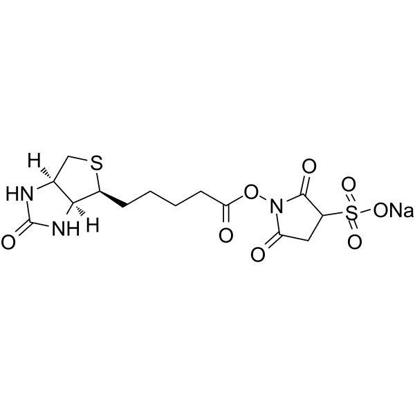 Sulfo-NHS-Biotin sodium