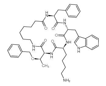 Cyclosomatostatin