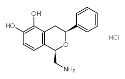 1-(氨基甲基)-3,4-二氢-3-苯基-1H-2-苯并吡喃-5,6-二醇盐酸盐