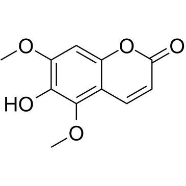 白蜡树精