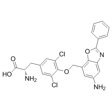 JPH203