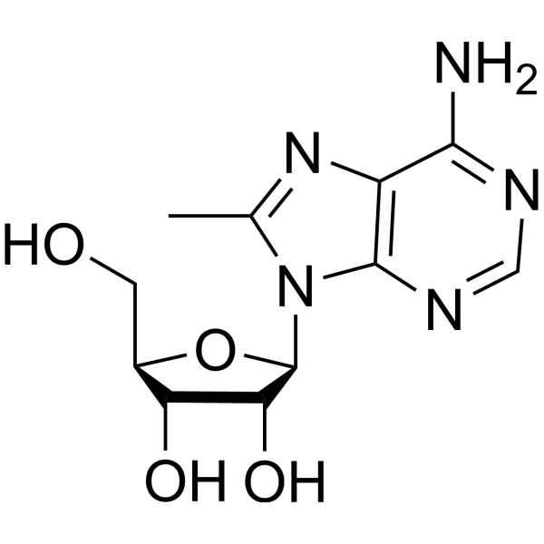 8-methyladenosine