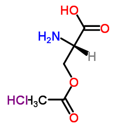 O-乙酰-L-丝氨酸盐酸盐
