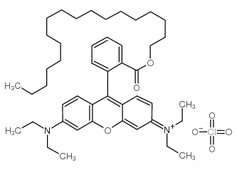 若丹明B十八烷酯高氯酸盐