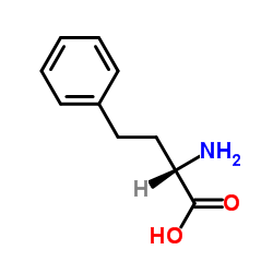 L-高苯丙氨酸