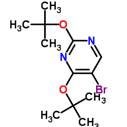 2,4-二叔丁氧基-5-溴嘧啶