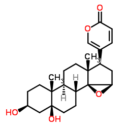 海蟾蜍毒素