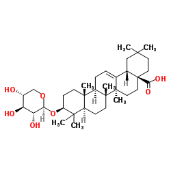 齐墩果酸-3-O-BETA-D-氧基吡喃木糖苷