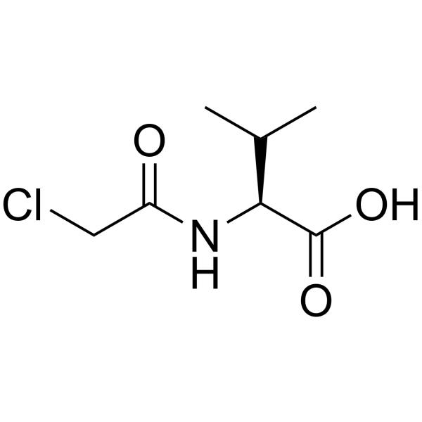 N-氯乙酰-L-缬氨酸