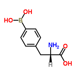 4-硼-L-苯基丙氨酸