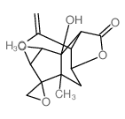 马桑内酯