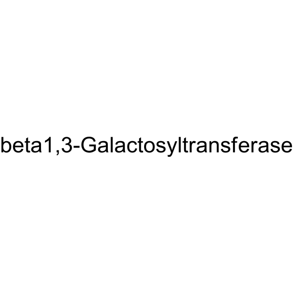 beta1,3-Galactosyltransferase