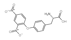 O-2,4-二硝基苯-L-酪氨酸