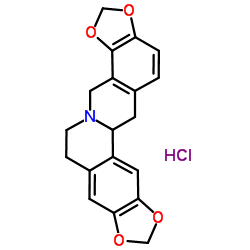 盐酸四氢黄连碱