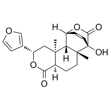 古伦宾