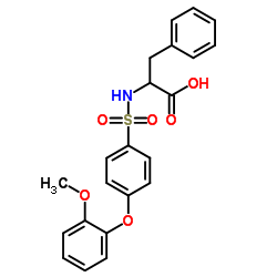 N-[4-(2-甲氧基苯氧基)苯基磺酰基]-DL-苯基丙氨酸