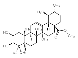 科罗索酸甲酯