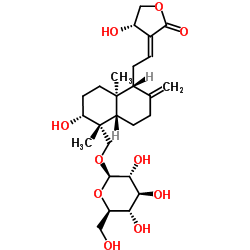 穿心莲内酯苷