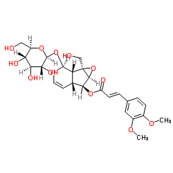 6-O-(3'',4''-二甲氧基肉桂酰)梓醇